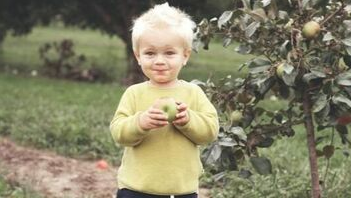 Enfant à Sorel-Tracy qui mange une pomme d'un pommier planté par Emondage Sorel-Tracy.